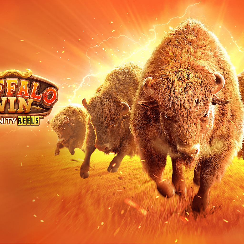 Buffalo Win